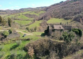 Rustic Umbertide - photo 22