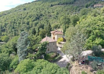 Vista - Villa strada Provinciale di Morra, Città di Castello - photo 7