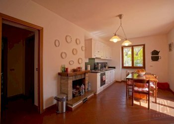 Cucina - Villa strada Provinciale di Morra, Città di Castello - photo 31