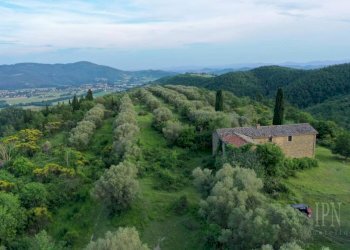 Vista - Villa Corciano - photo 4