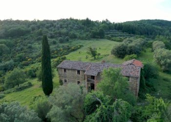 Vista - Villa Corciano - photo 8