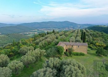 Vista - Villa Corciano - photo 10