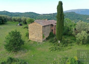 Vista - Villa Corciano - photo 14