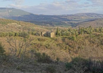 Vista - Villa Corciano - photo 15