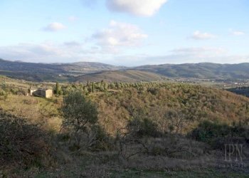 Vista - Villa Corciano - photo 17