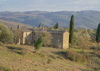 Terreno - Villa Corciano - photo 19