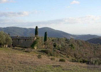 Vista - Villa Corciano - photo 20