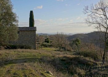 Terreno - Villa Corciano - photo 21