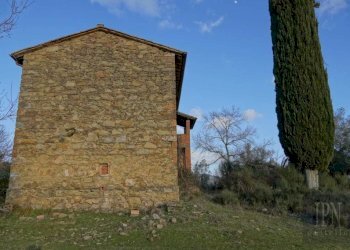 Terreno - Villa Corciano - photo 23
