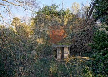 Terreno - Villa Corciano - photo 39