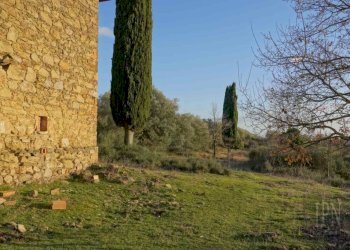 Terreno - Villa Corciano - photo 41