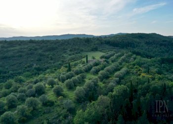 Vista - Villa Corciano - foto 6