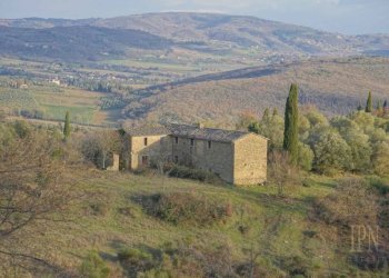 Terreno - Villa Corciano - foto 19