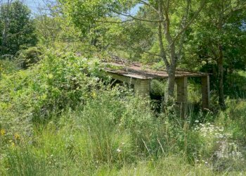 Terreno - Rustico strada Fratticiola Selvatica-Monte Verde, 6, Perugia - foto 13