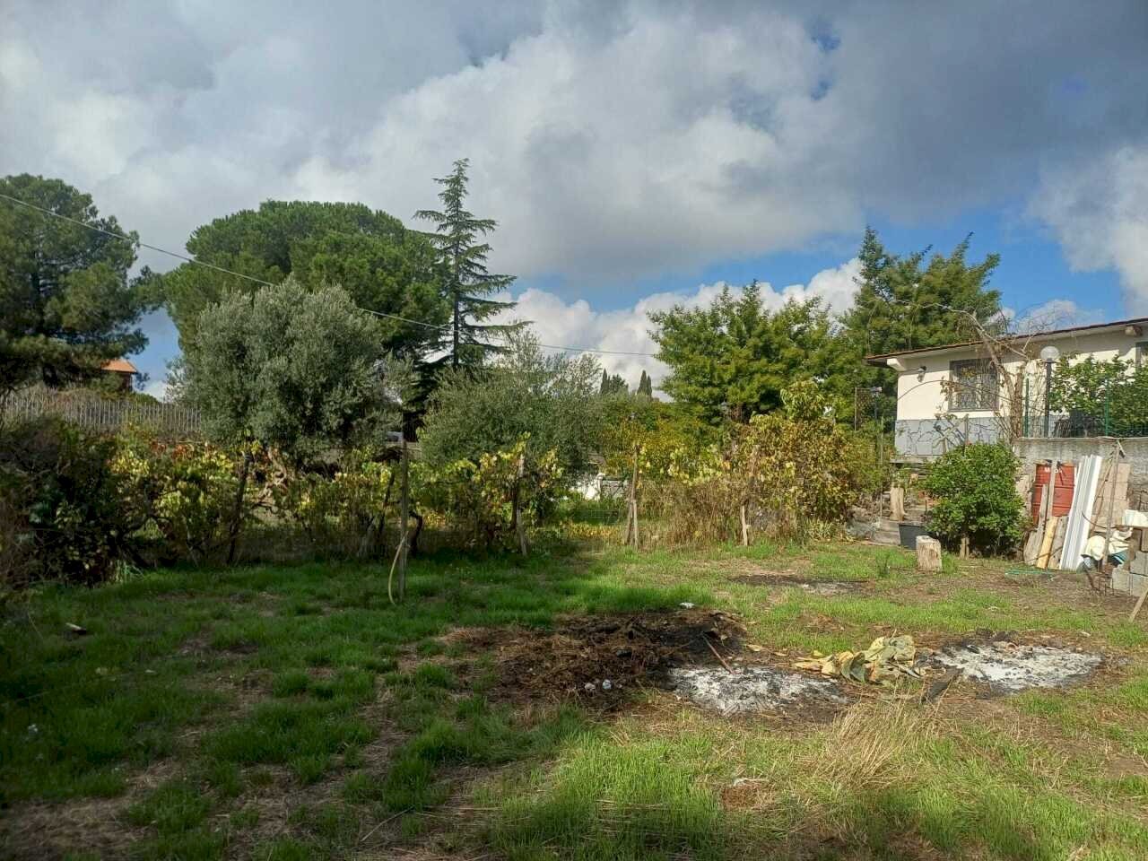 WhatsApp Image 2025-10-23 at 10.14.51 (6).jpeg - Agricultural land Via Friuli snc, Mascalucia - photo 3