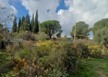 WhatsApp Image 2025-10-23 at 10.14.51 (4).jpeg - Agricultural land Via Friuli snc, Mascalucia - photo 2