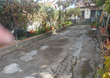 WhatsApp Image 2025-10-23 at 10.14.49 (1).jpeg - Agricultural land Via Friuli snc, Mascalucia - photo 5