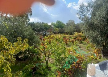 WhatsApp Image 2025-10-23 at 10.14.52.jpeg - Agricultural land Via Friuli snc, Mascalucia - photo 7