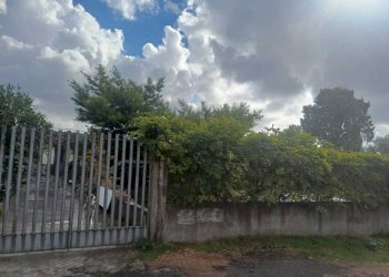 WhatsApp Image 2025-10-23 at 10.14.52 (3).jpeg - Agricultural land Via Friuli snc, Mascalucia - photo 10