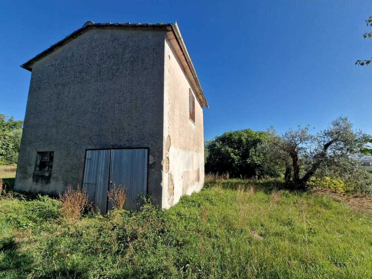 IMG-20250912-WA0000.jpg - Rustic vocabolo molino, Montecastrilli - photo 3