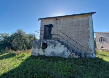 IMG-20250912-WA0015.jpg - Rustic vocabolo molino, Montecastrilli - photo 1