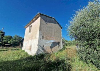 IMG-20250912-WA0012.jpg - Rustic vocabolo molino, Montecastrilli - photo 2