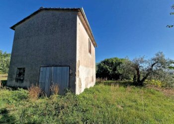 IMG-20250912-WA0000.jpg - Rustic vocabolo molino, Montecastrilli - photo 3