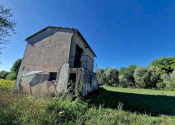 IMG-20250912-WA0008.jpg - Rustic vocabolo molino, Montecastrilli - photo 7