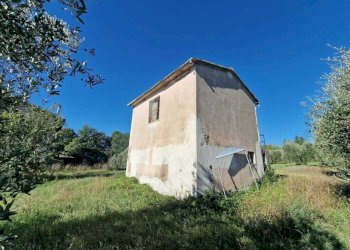 IMG-20250912-WA0009.jpg - Rustic vocabolo molino, Montecastrilli - photo 8