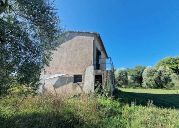 IMG-20250912-WA0011.jpg - Rustic vocabolo molino, Montecastrilli - photo 9