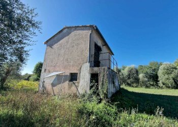 IMG-20250912-WA0014.jpg - Rustic vocabolo molino, Montecastrilli - photo 10