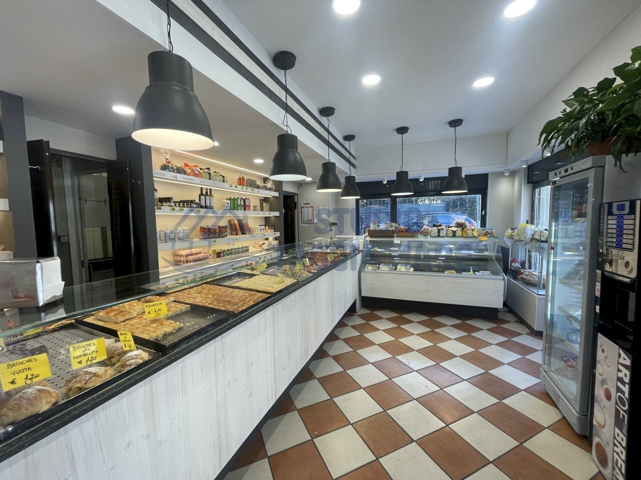 IMG_6320.JPG - Panificio - Pastificio Taggia - foto 3