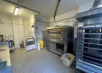 IMG_6348.JPG - Panificio - Pastificio Taggia - foto 11