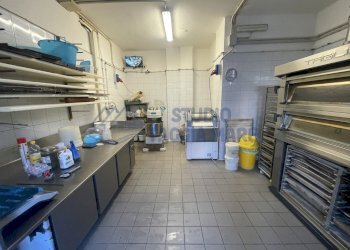 IMG_6351.JPG - Panificio - Pastificio Taggia - foto 12