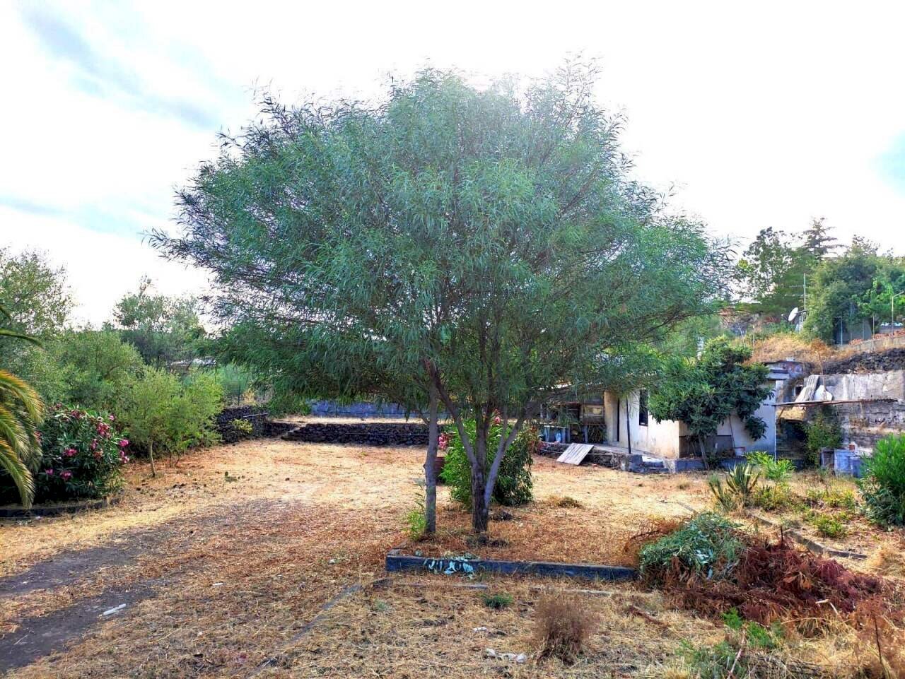 Foto - Building land Via Dei Gelsomini 16, Pedara - photo 1