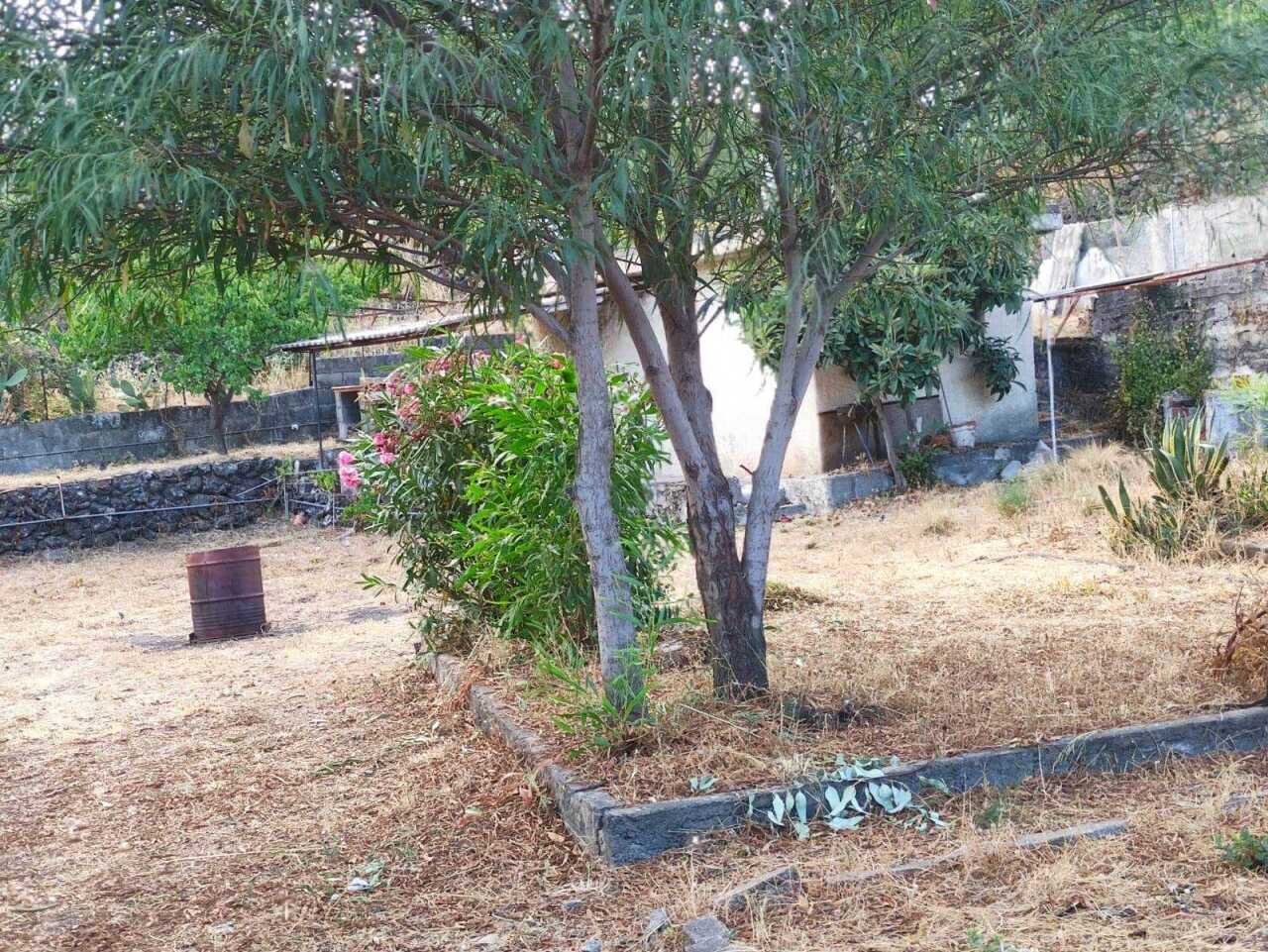 Foto - Building land Via Dei Gelsomini 16, Pedara - photo 3