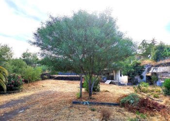 Foto - Terreno edificabile Via Dei Gelsomini 16, Pedara - foto 1