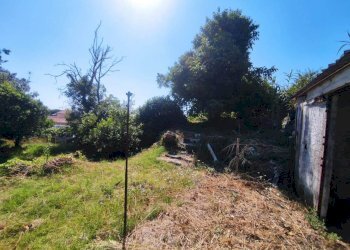 Foto - Terreno edificabile Via San Giovanni, Mascali - foto 5