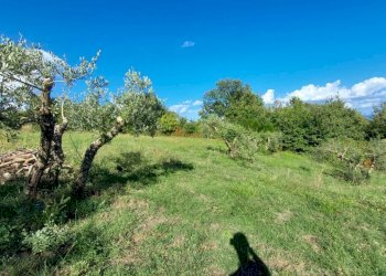 Rustico Gradoli - foto 4