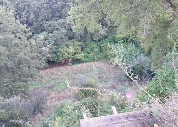 Rustico Gradoli - foto 39