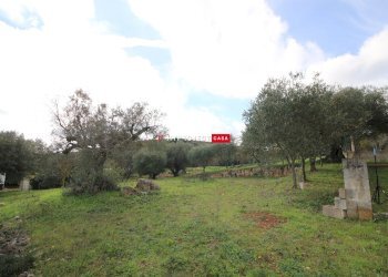 Villa Strada Monte Basile, Martina Franca - foto 9