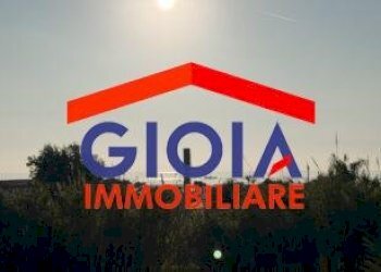 Trilocale Mondragone - foto 20