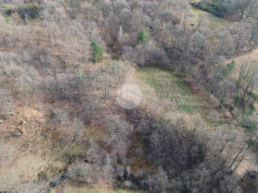 Terreno agricolo Boschivo/Seminativo Via Chiaberge, Val della Torre - foto 2