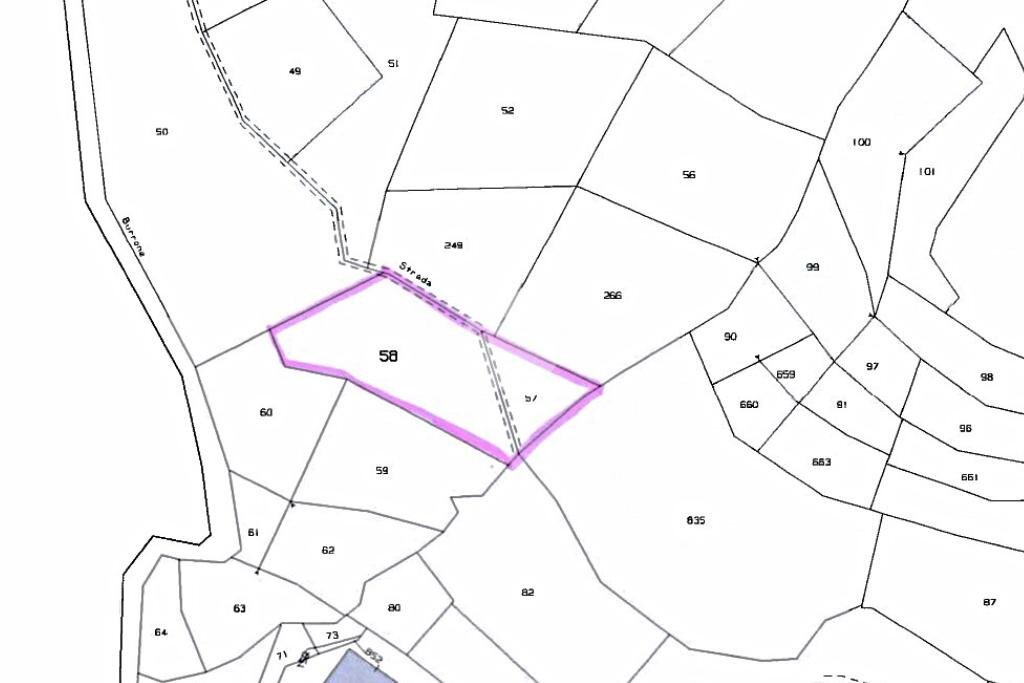 Terreno agricolo Boschivo/Seminativo Via Chiaberge, Val della Torre - planimetria 1