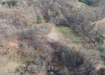 Terreno agricolo Boschivo/Seminativo Via Chiaberge, Val della Torre - foto 2