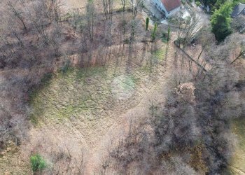 Terreno agricolo Boschivo/Seminativo Via Chiaberge, Val della Torre - foto 8