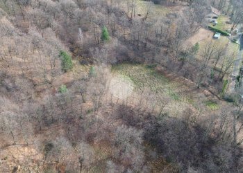 Terreno agricolo Boschivo/Seminativo Via Chiaberge, Val della Torre - foto 9