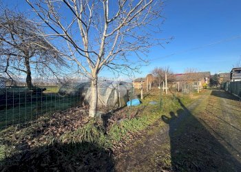 Villa Frazione Mottura, Villafranca Piemonte - foto 9