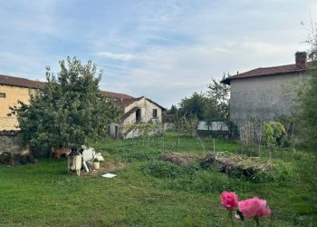 Rustico Caselle Torinese - foto 4