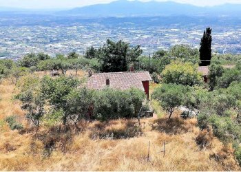 Foto 1 - Rustico Uzzano - foto 1